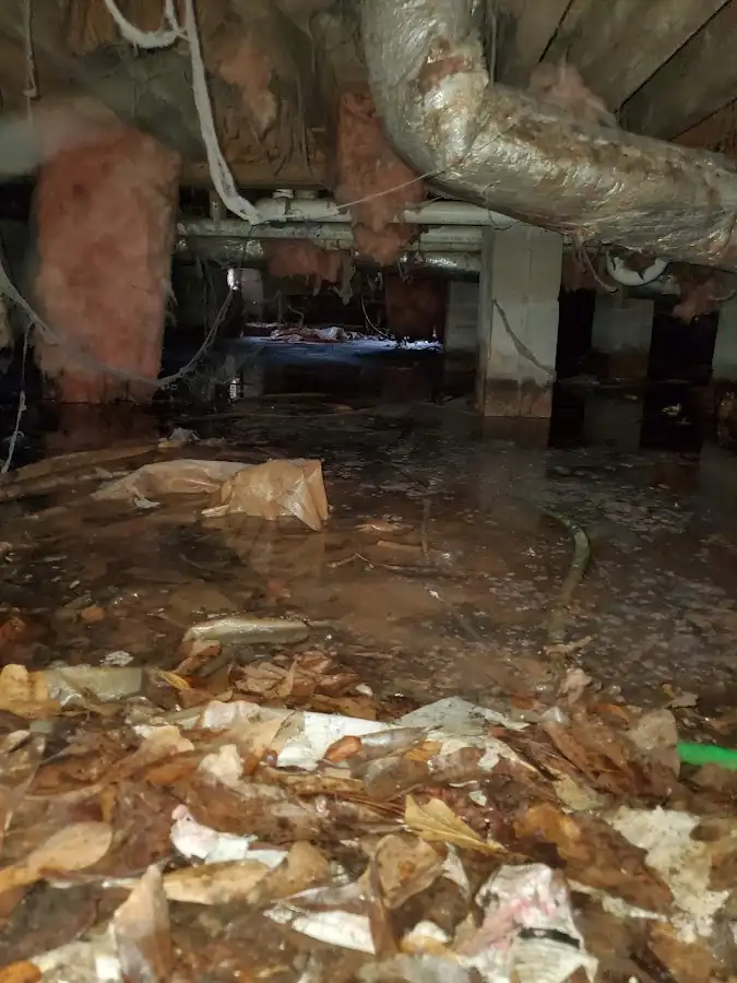 Crawl space flood assessment for Leak Detection & Repair in Moncks Corner
